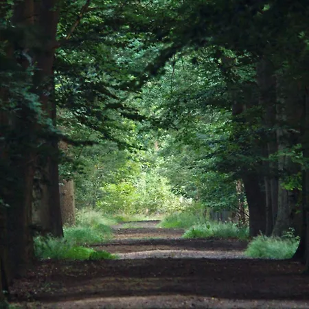 Casa vacanze T Kaatsheuveltje 6 Kaatsheuvel