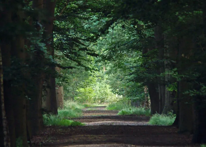 T Kaatsheuveltje 6 Tatil Evi