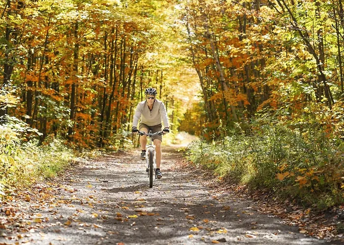 T Kaatsheuveltje 6 Ferienhaus Kaatsheuvel